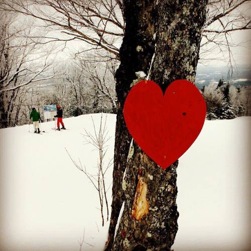 CONDITIONS DE SKI - MONT SUTTON - St-Valentin à la montagne CONDITIONS DE SKI - MONT SUTTON - St-Valentin à la montagne