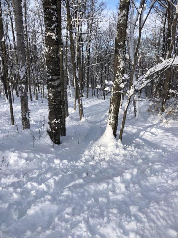 Sommet St Sauveur les sous bois sont ouverts WOW! Sommet St Sauveur les sous bois sont ouverts WOW!